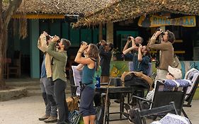 Chitwan Gaida Lodge - Animal Lovers & Birdwatchers Paradise