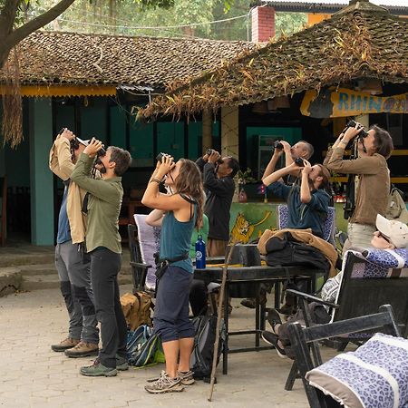 Chitwan Gaida Lodge - Animal Lovers & Birdwatchers Paradise Sauraha Exterior foto