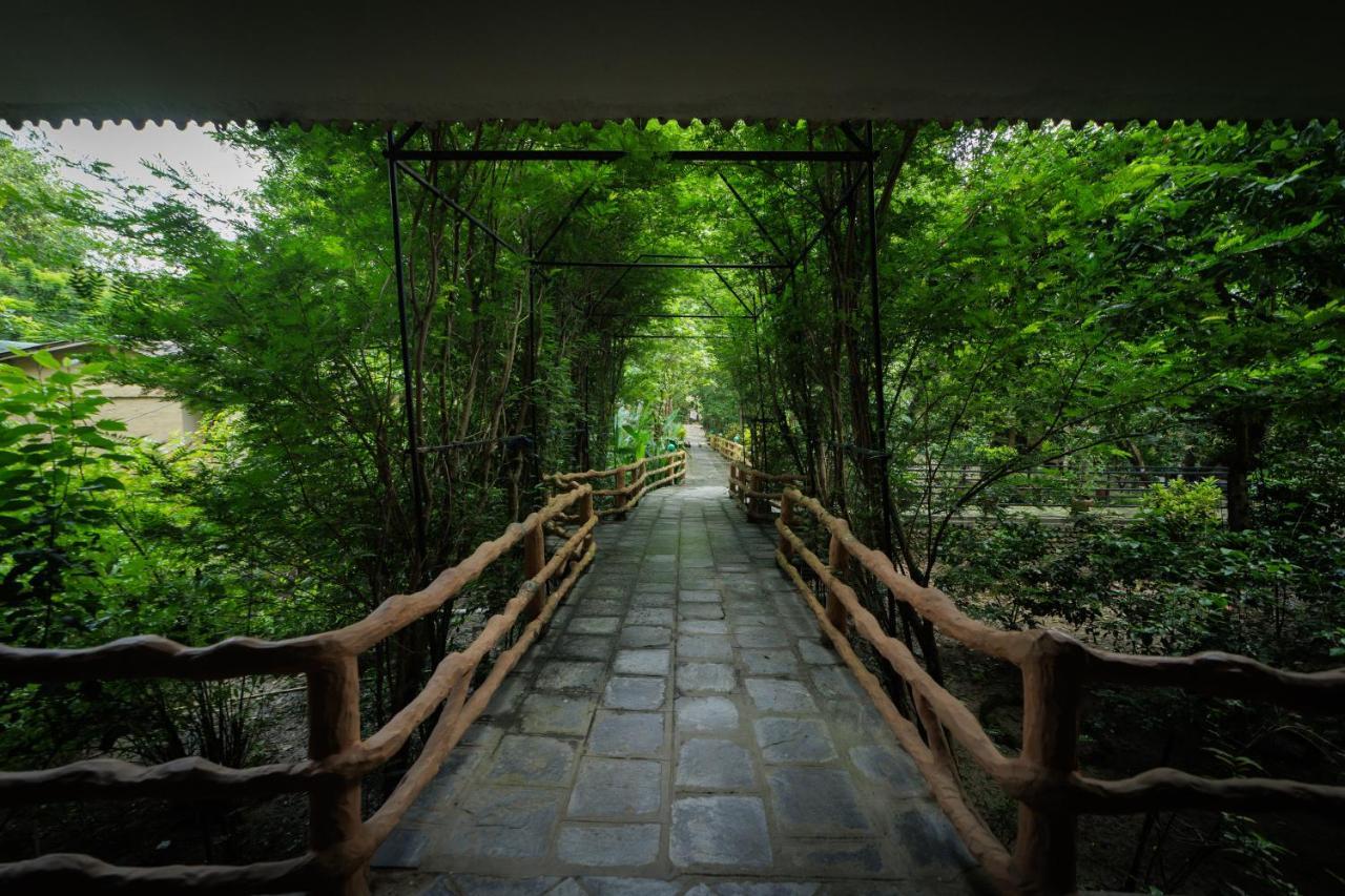 Chitwan Gaida Lodge - Animal Lovers & Birdwatchers Paradise Sauraha Exterior foto