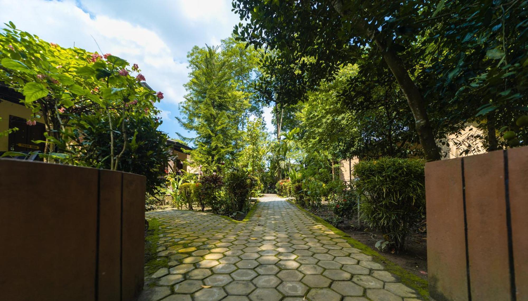 Chitwan Gaida Lodge - Animal Lovers & Birdwatchers Paradise Sauraha Exterior foto