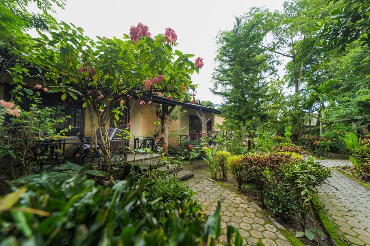 Chitwan Gaida Lodge - Animal Lovers & Birdwatchers Paradise Sauraha Exterior foto