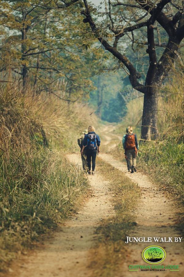 Chitwan Gaida Lodge - Animal Lovers & Birdwatchers Paradise Sauraha Exterior foto