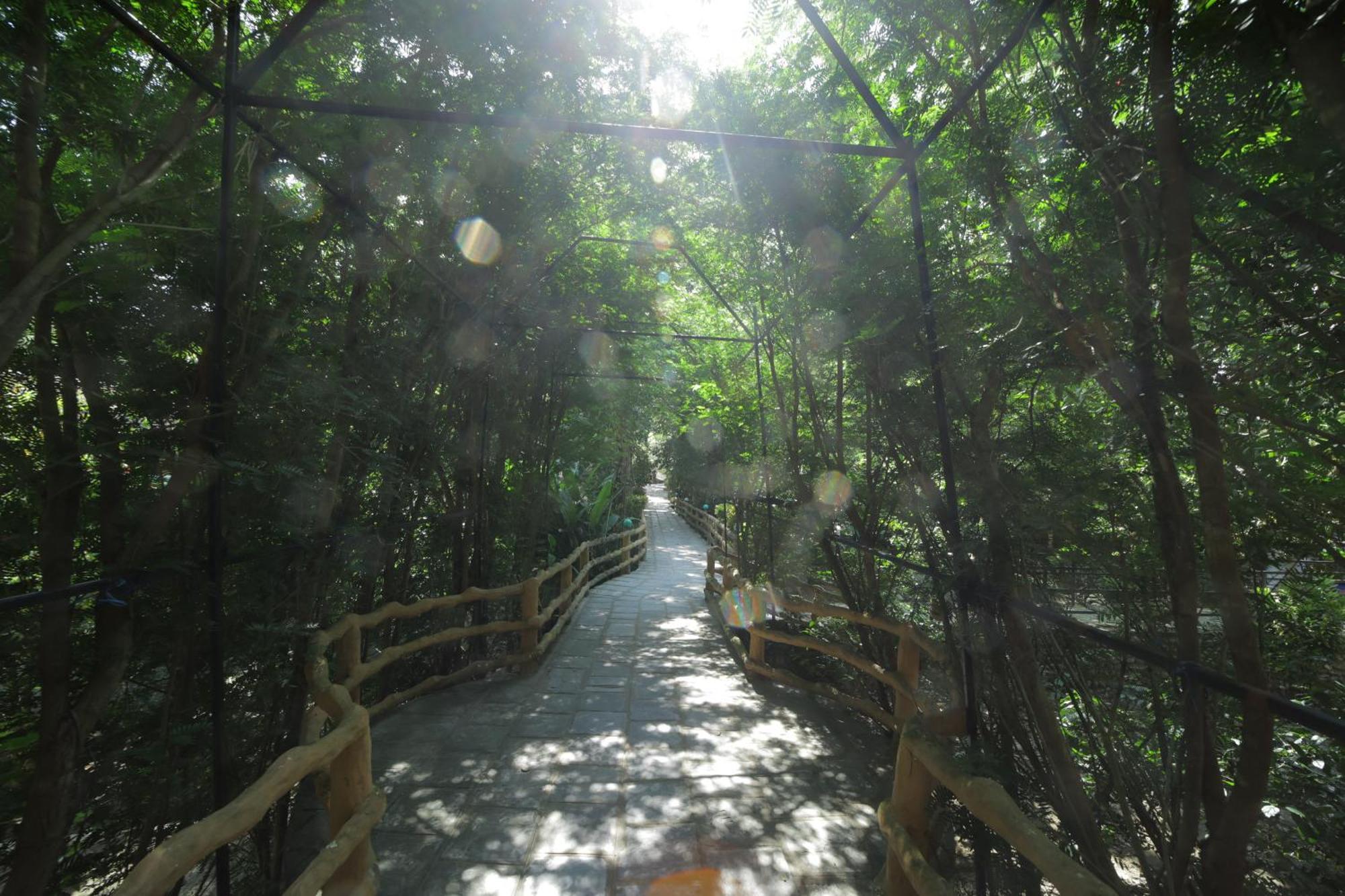 Chitwan Gaida Lodge - Animal Lovers & Birdwatchers Paradise Sauraha Exterior foto