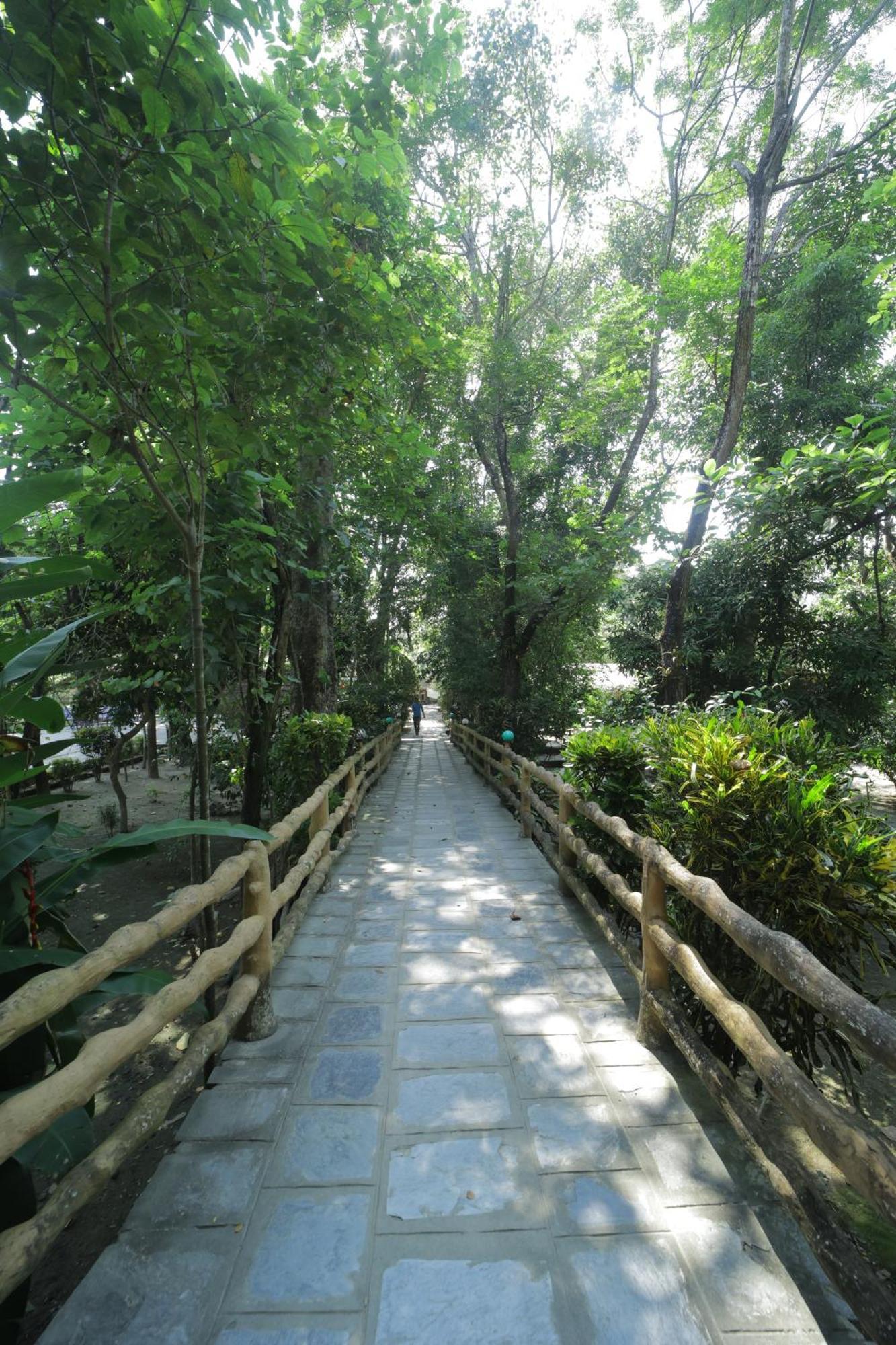 Chitwan Gaida Lodge - Animal Lovers & Birdwatchers Paradise Sauraha Exterior foto