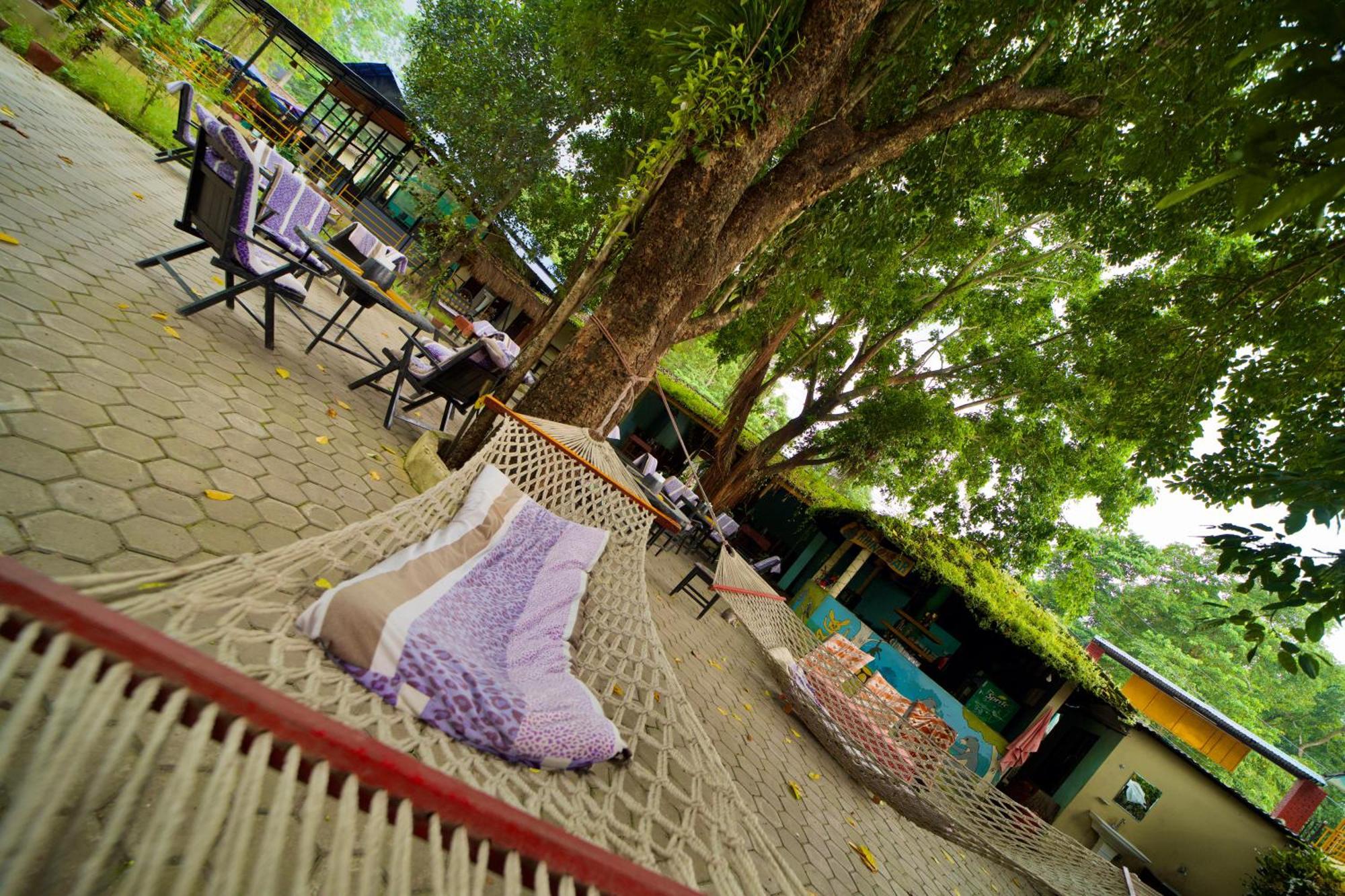 Chitwan Gaida Lodge - Animal Lovers & Birdwatchers Paradise Sauraha Exterior foto