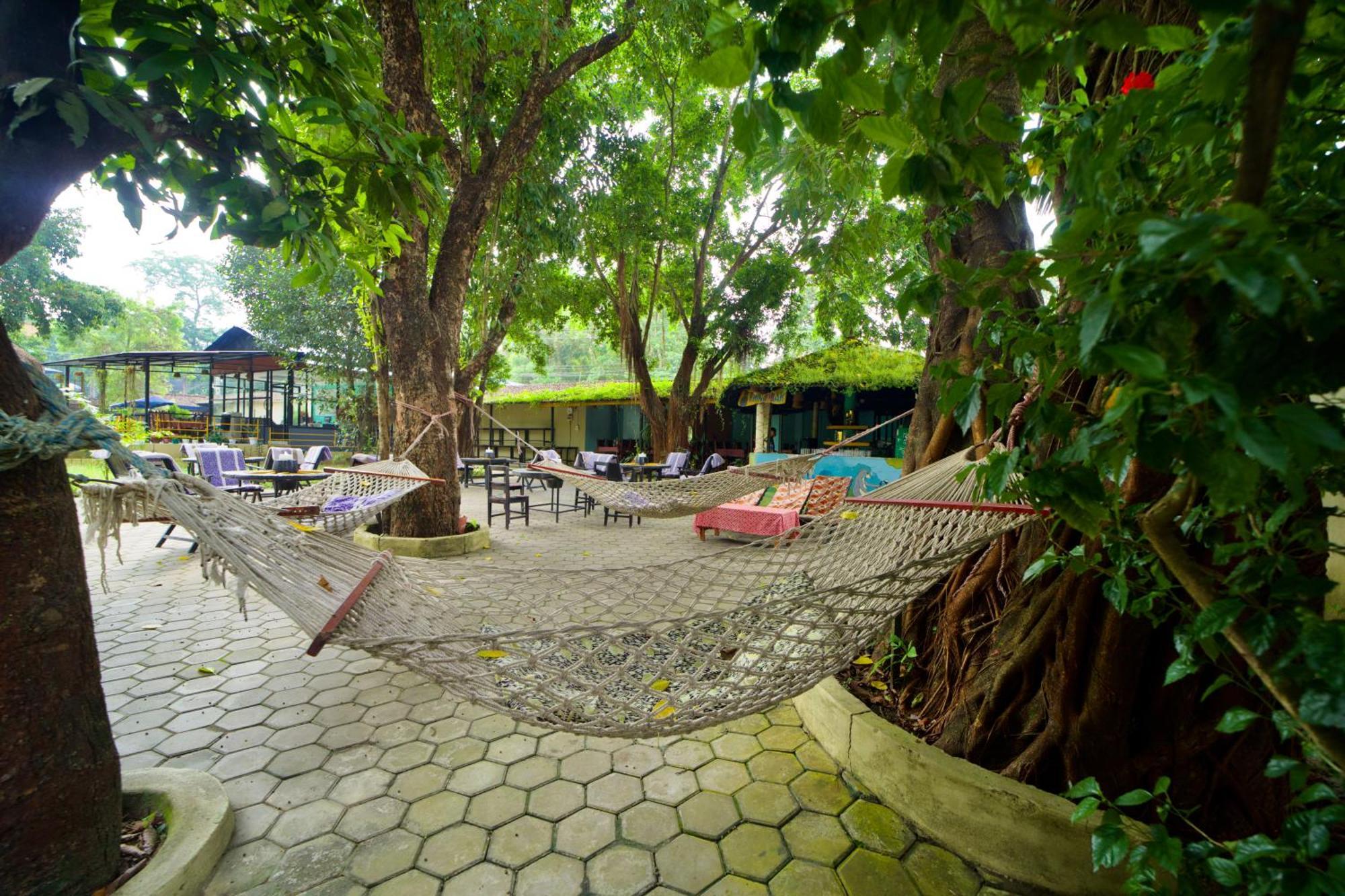Chitwan Gaida Lodge - Animal Lovers & Birdwatchers Paradise Sauraha Exterior foto