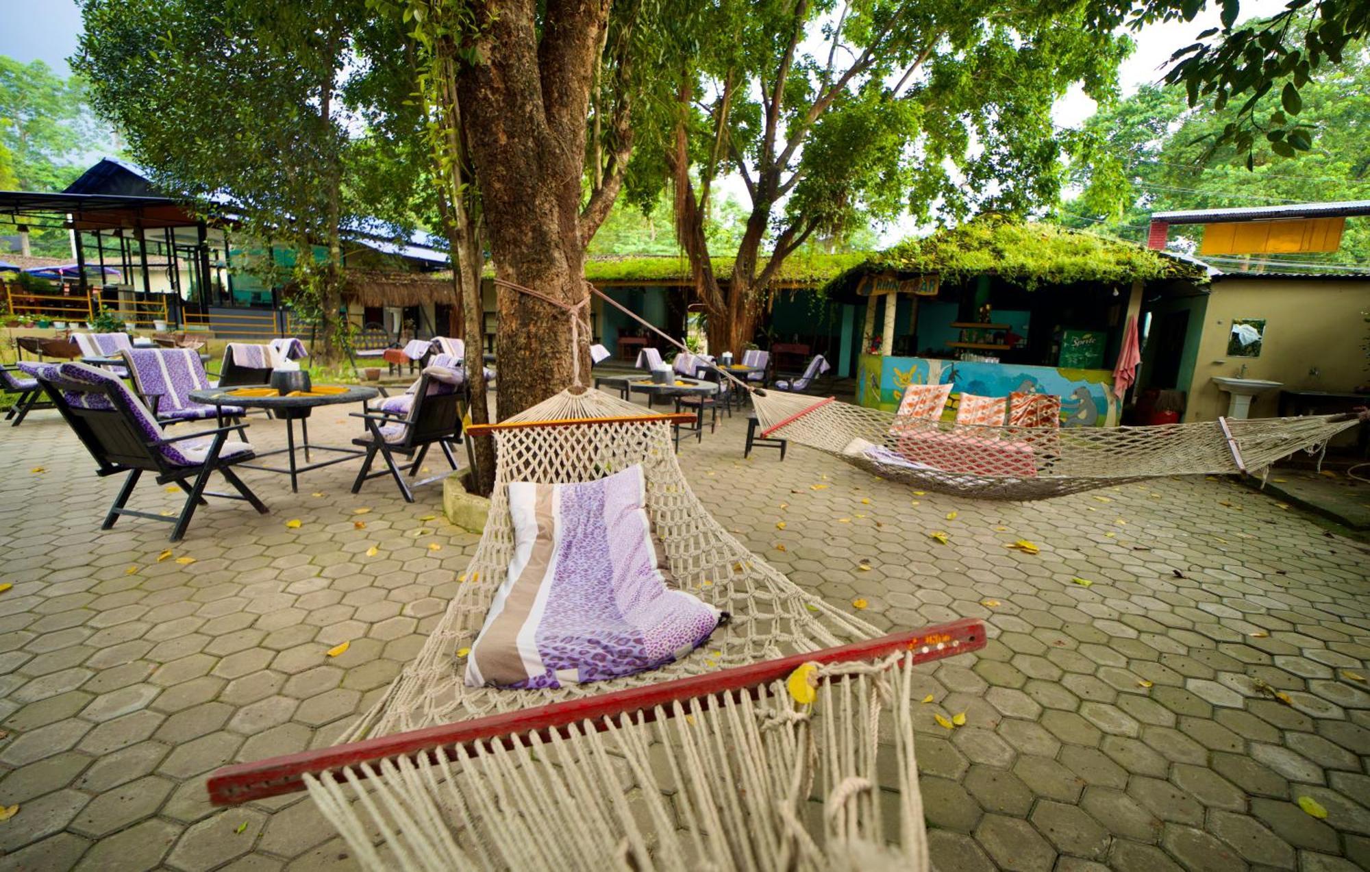 Chitwan Gaida Lodge - Animal Lovers & Birdwatchers Paradise Sauraha Exterior foto